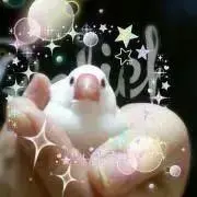 プロフィール確認必須　ゆっこの画像