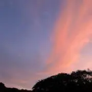 ギブベースの画像