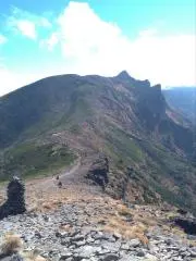 goの画像