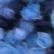 Sの画像