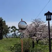 あいぽむの画像