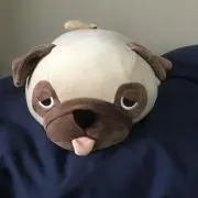 あっき
