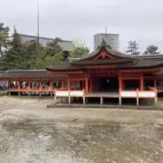 ゼット