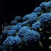 m.kの画像