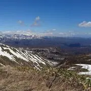 Parisの画像