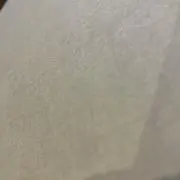 うさぎ