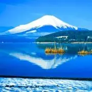 DAoの画像