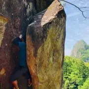 NSN13の画像