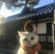きまま