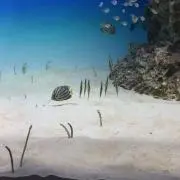 うどんの画像