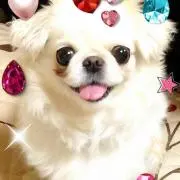愛