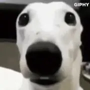 やめぴ