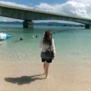 いちごの画像