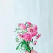 はな