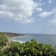 Miyaの画像