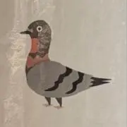 ひよこ饅頭大佐の画像