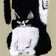 Yuの画像