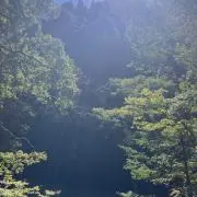 いりごMAXの画像