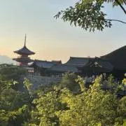 ふにゃの画像