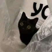 NO-NA