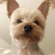 まままま