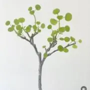 ぐりーんの画像