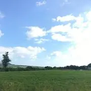 はなの画像