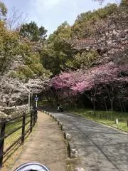 Yukaの画像