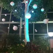 りん