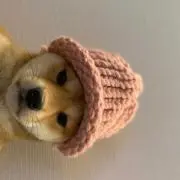 ねこ
