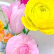 もも