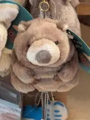 コテツ