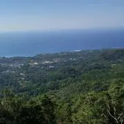 かくうの画像