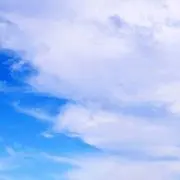 にこの画像