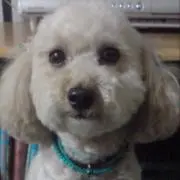 さっちゃん