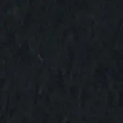 ppp