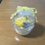 のかの画像