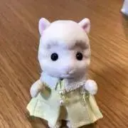 みみみ☺︎オーダー停止中です。の画像
