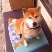 ほっつさん