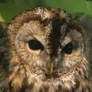 値引き交渉歓迎の画像
