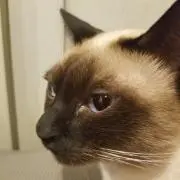 takaの画像