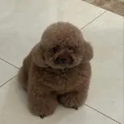 ヒロヨ