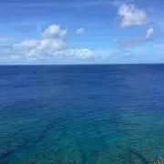 shi54の画像