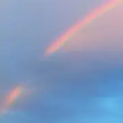 わん