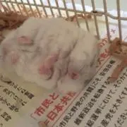 うーちゃん