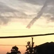 ハステロイの画像