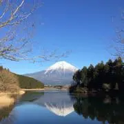 たろうの画像