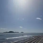 ありなの画像