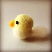 こしず