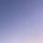 あさりの画像